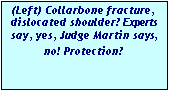 Text Box: (Left) Collarbone fracture, dislocated shoulder? Experts say, yes, Judge Martin says, no! Protection?
